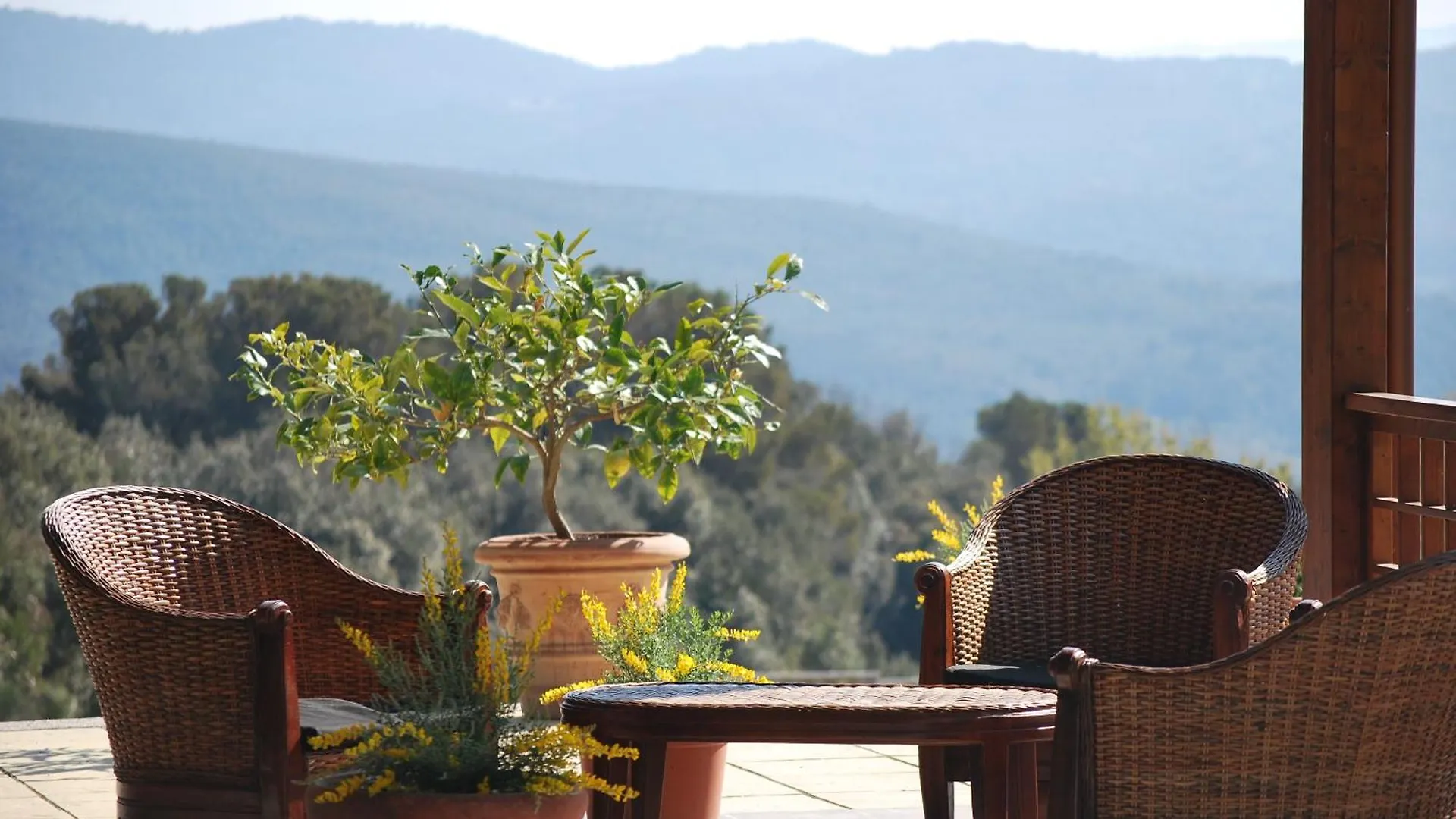 Aparthotel Erba Di Campo Residence Quercianella Italien